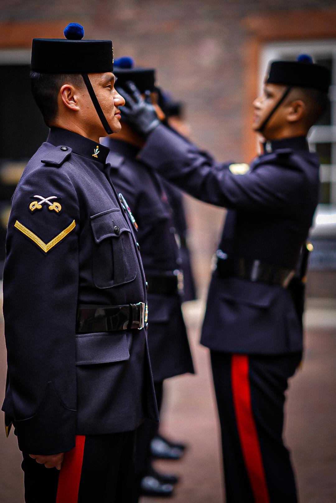 HRH inspects QGS on Ceremonial Duties in London - Photographer Sgt Peter Snookes HRH inspects QGS on Ceremonial Duties in London - Photographer Sgt Peter Snookes